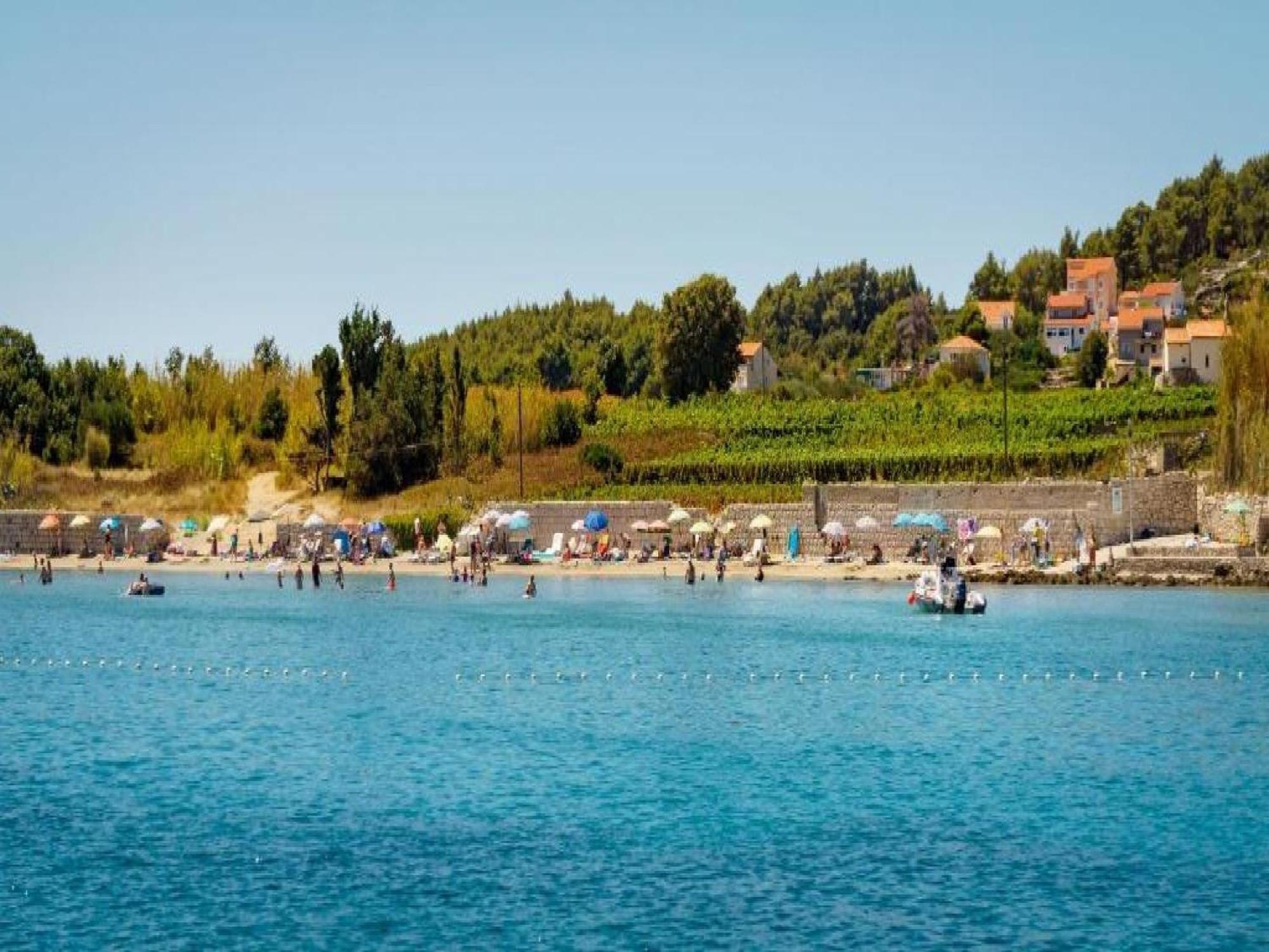 Lumbarda Resort Apartments 部屋 写真